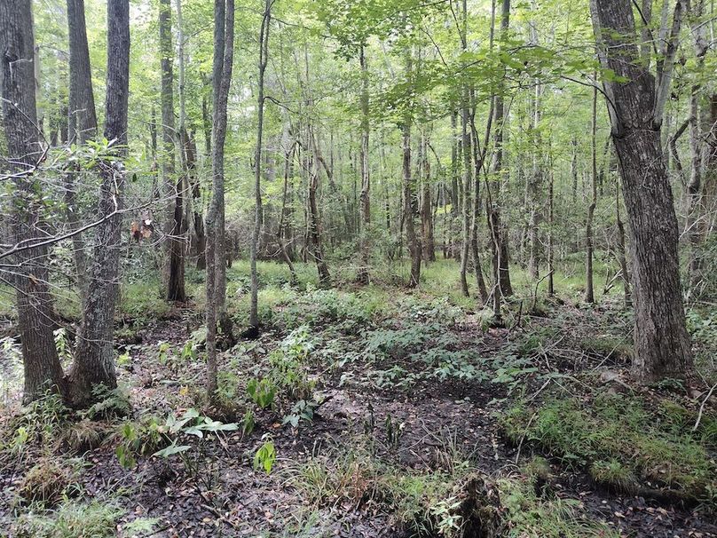 IMG_20250830_134650626