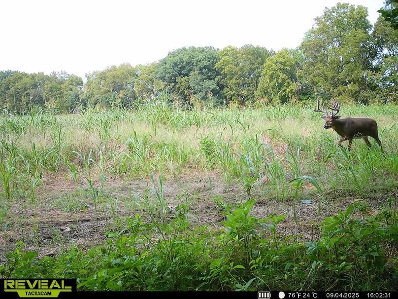 860322063943986-100-4-09052025032801-HD-SYEW2381