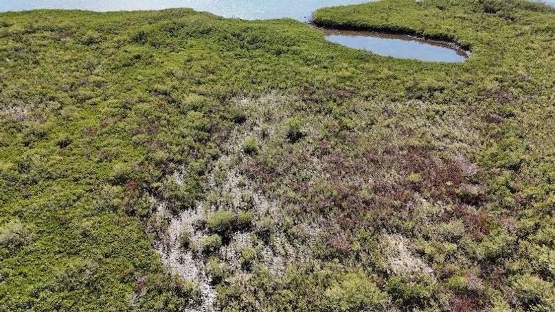 17.17ac, Citrus, Josiah Ronco36