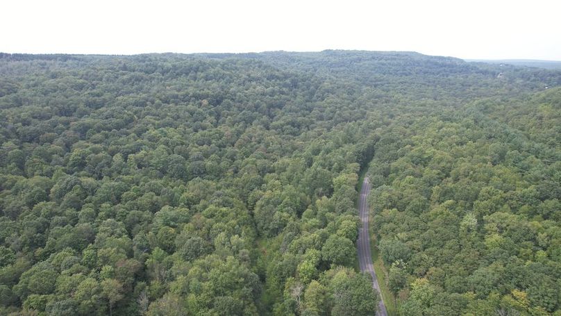 dji_fly_20250804_152152_481_1754355834022_photo