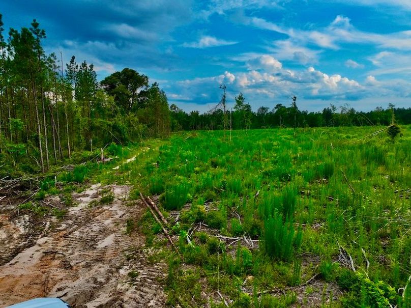 85FFEF65-1965-4C59-A552-D7F73648C78A_1_105_c