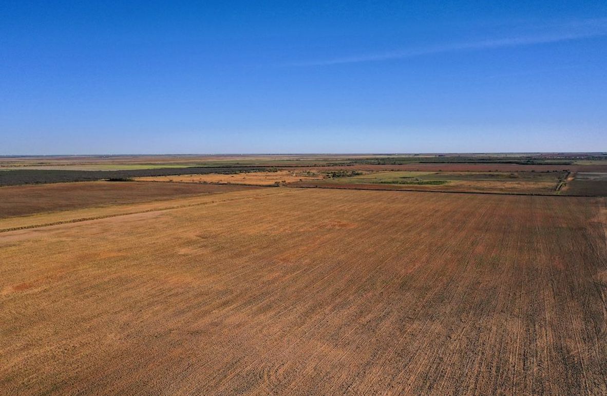 org_33c46cdb59a863de_1762730822000