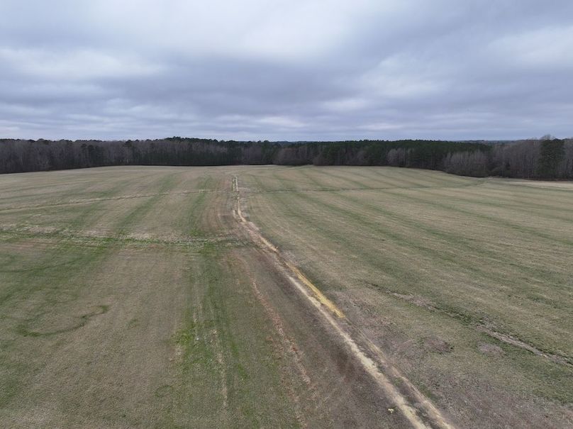 dji_fly_20260219_134928_0580_1772565812074_photo