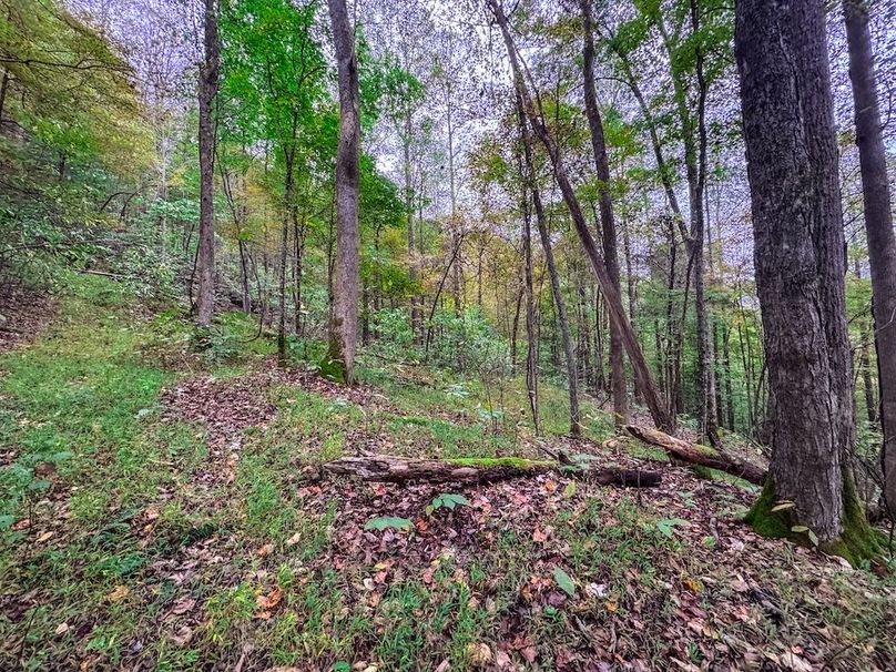 Webster, WV 13.8 AC Heldreth-11