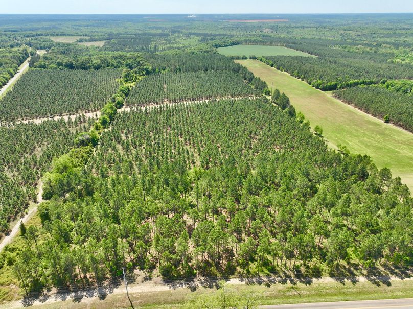 dji_fly_20230419_125454_309_1681923401622_photo