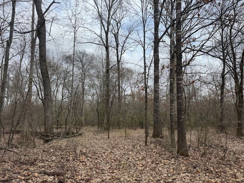 311 new20260217_0481