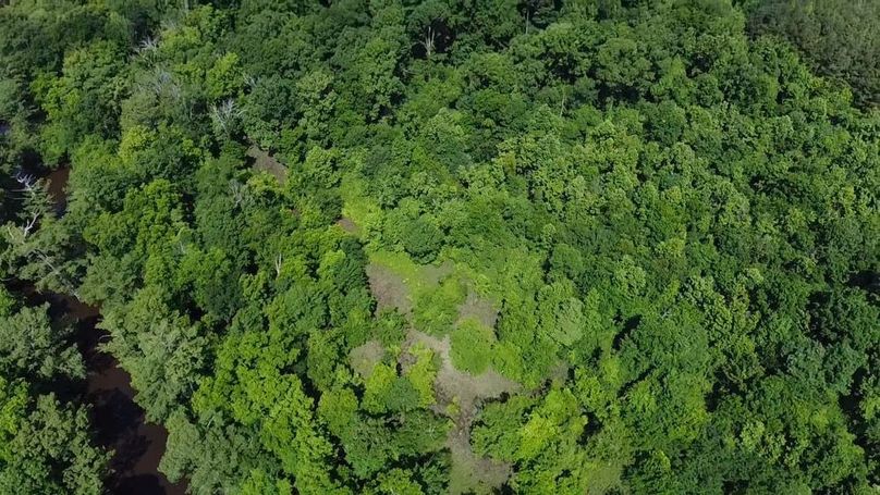 2024-06-01-10-33-45-625