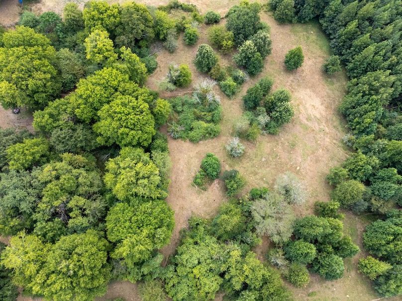 7 Jefferson 117ac - bethard-14