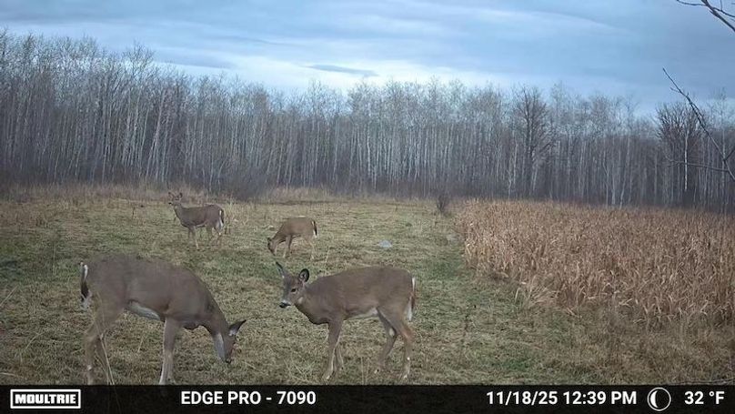 image639020105253352280