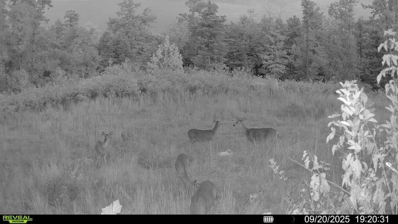 016687000534913-100-2-09202025192031-V-SYFW00156