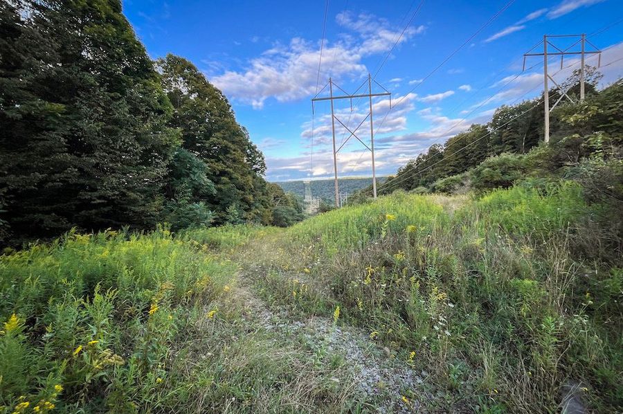 Chemung_140.13_Baumunk_Photos_44