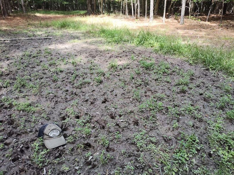 IMG_20250830_120047703