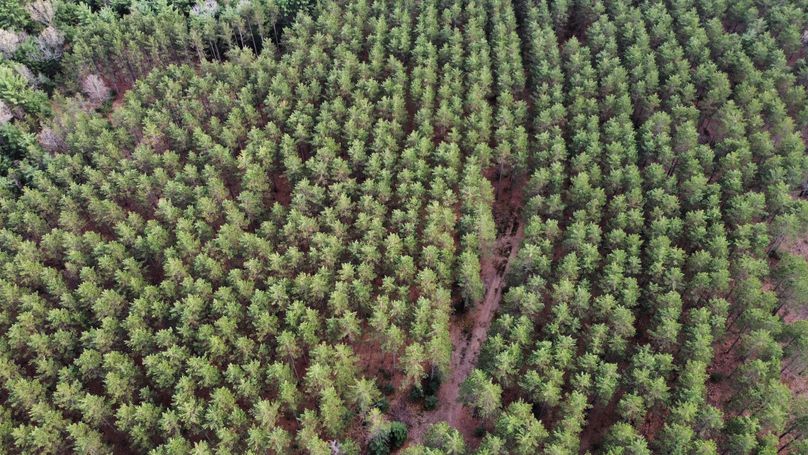 dji_fly_20230509_171946_415_1683724273392_photo_optimized