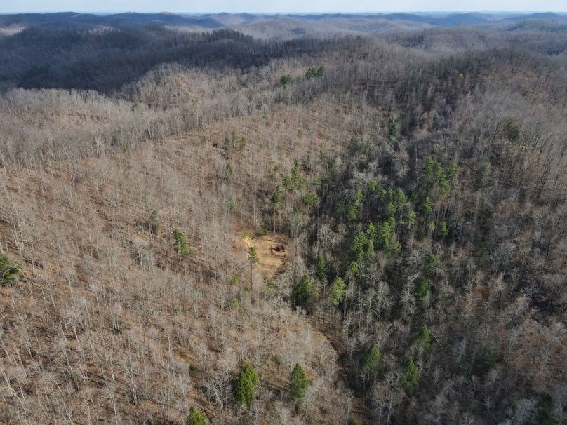 025 aerial view looking down on the right hollow split-2