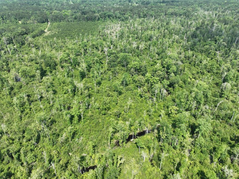 dji_fly_20230516_110122_120_1684333455318_photo