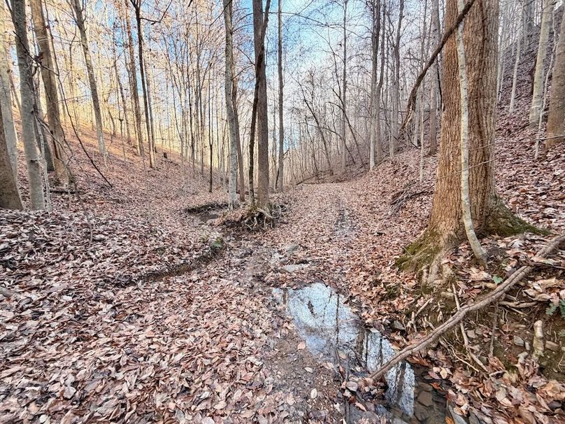 Roane Co TN 396 20251127_21