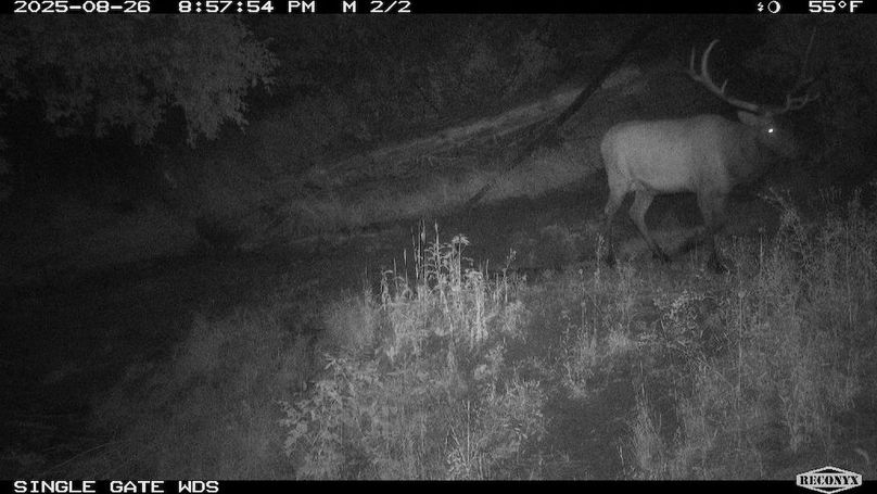 0199C7C1-4DFA-470A-90C7-EB7CFFFBE14D