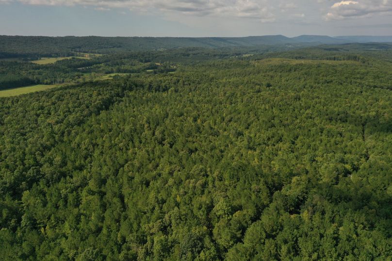 DJI_0601