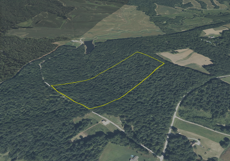 Crittenden KY 588.449.aerial.Tract 3 3d