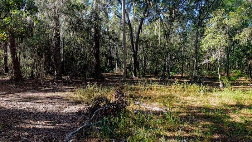 Copy of DJI_20251203231533_0674_D