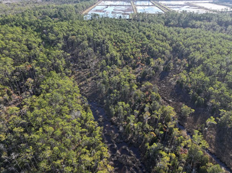 dji_fly_20231220_090450_0010_1703094072657_photo