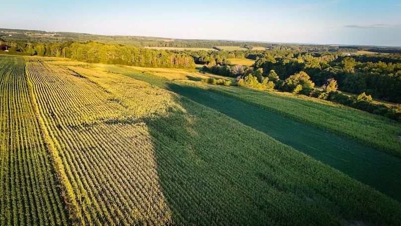 Copy of Wood Tract 4 Photo 3