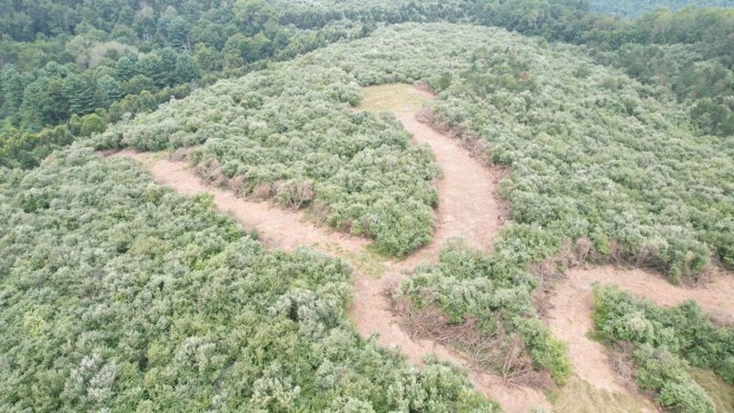 dji_fly_20250806_125324_551_1754499854506_photo