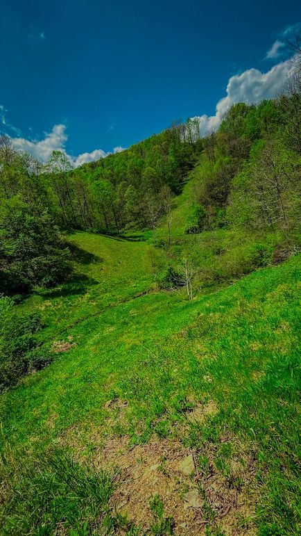 Doddridge, WV 64.69 AC Davis-04