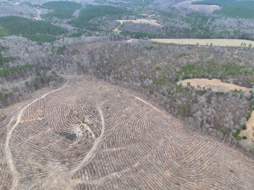 DJI_20260303124011_0022_V