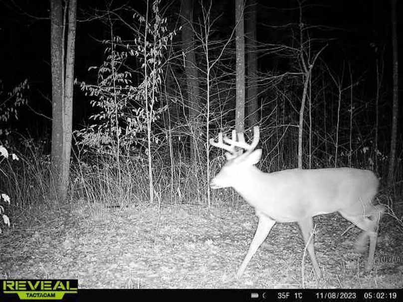 865814048724973-100-3-11082023050218-W1011853