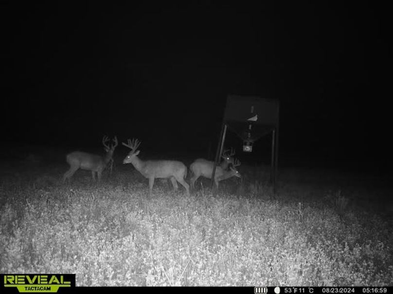 865509050069214-100-2-08232024051712-w1011845