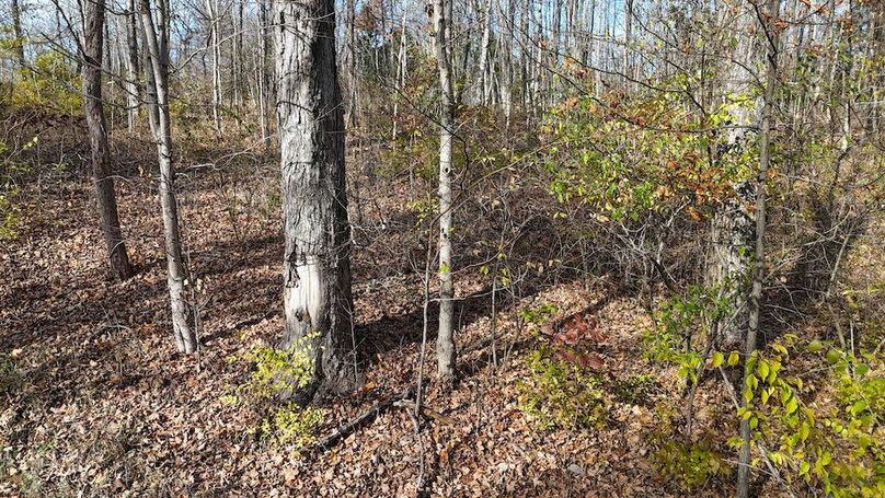 DJI_20251113133612_0694_D