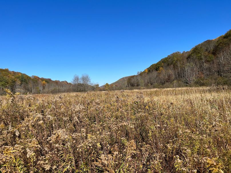 Schuyler_25.155_Ennis_Photos_14