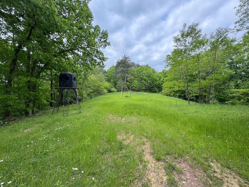 Pleasants, WV 168.59 AC Superior, Swank, Young-041