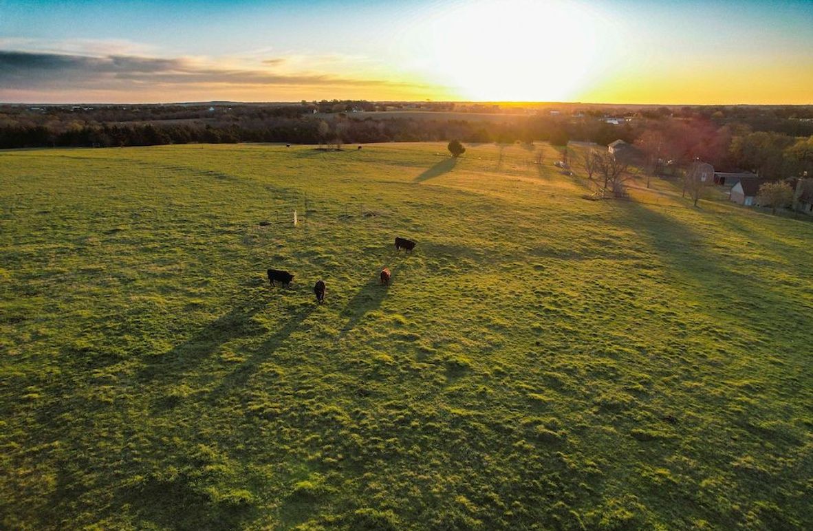 Grayson 20 acres (4 of 26) - Copy