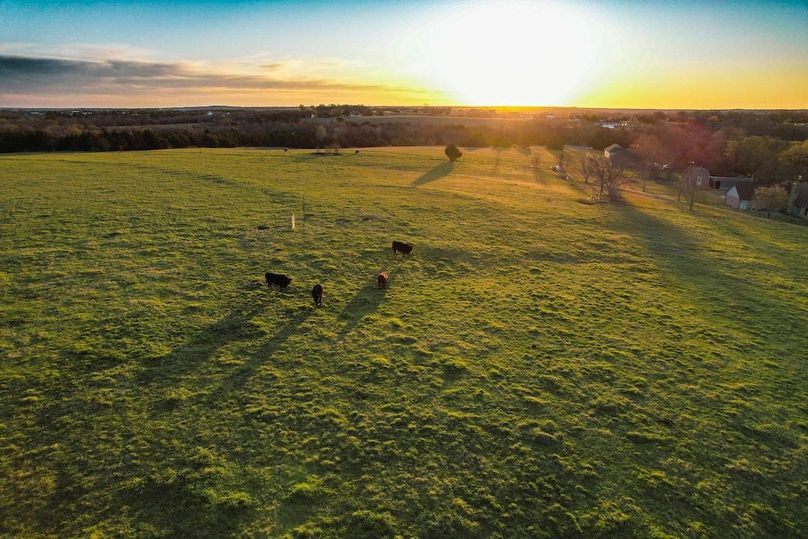 Grayson 20 acres (4 of 26) - Copy