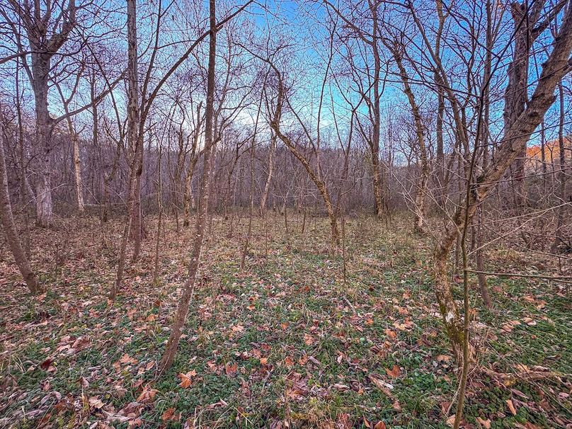 Pleasants_Wood 169.97 AC Cokeley-26