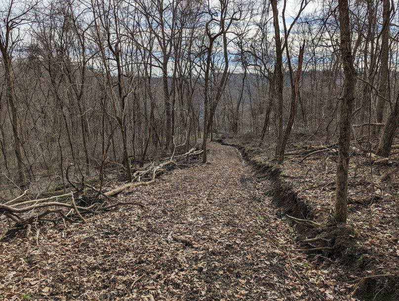 PXL_20230213_170326834