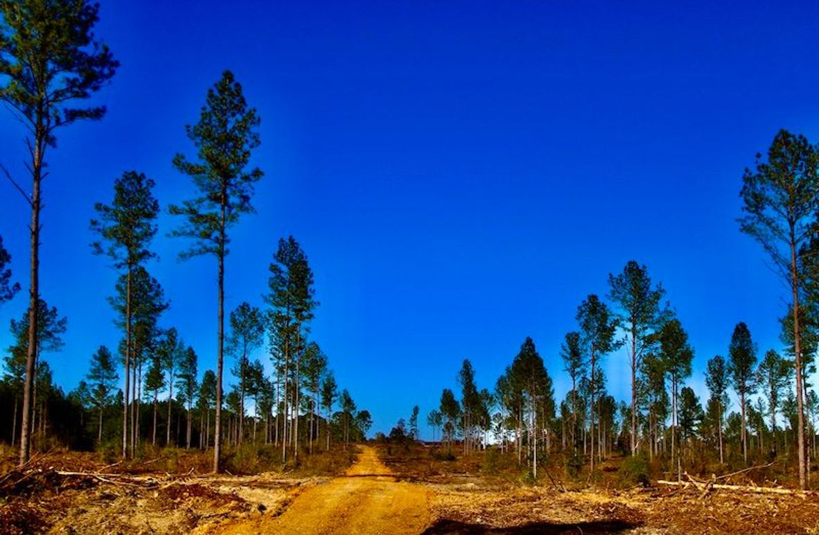 3CFB7455-4EA7-4787-8D8B-26EDC7DEC4C7_1_201_a