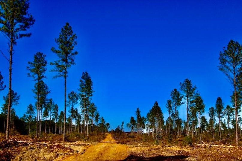 3CFB7455-4EA7-4787-8D8B-26EDC7DEC4C7_1_201_a