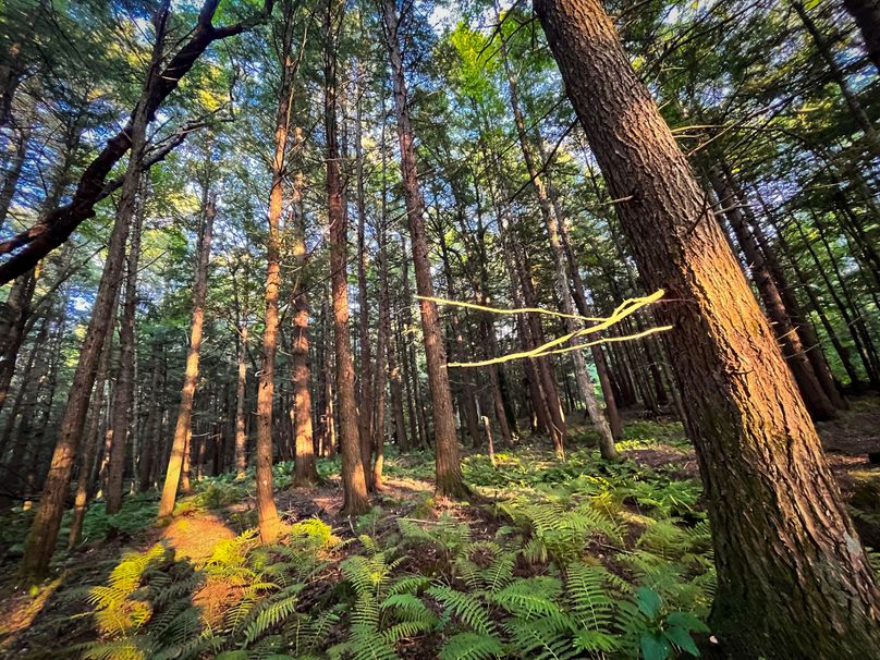 Oswego_30_RouselandInvestments_LLC_Photos_16