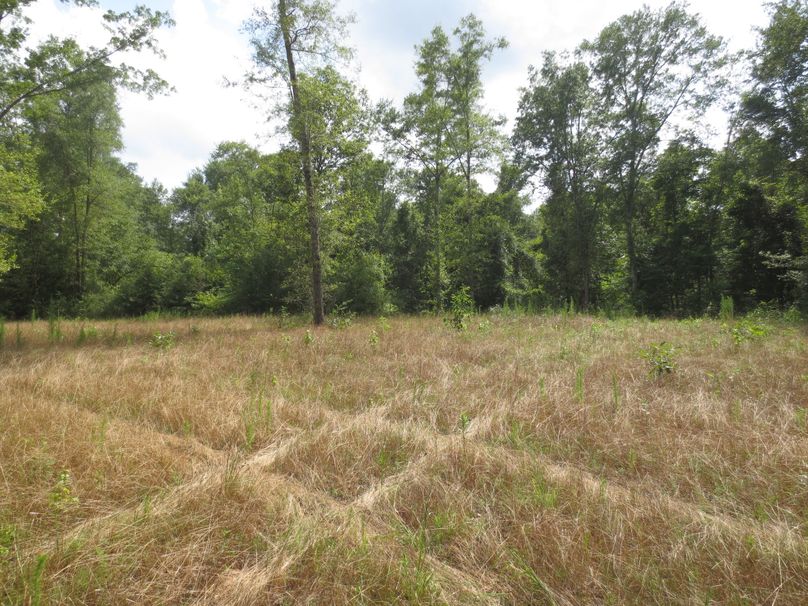 5FA1F019-7A92-4BC7-8602-ADAF4ABE584A