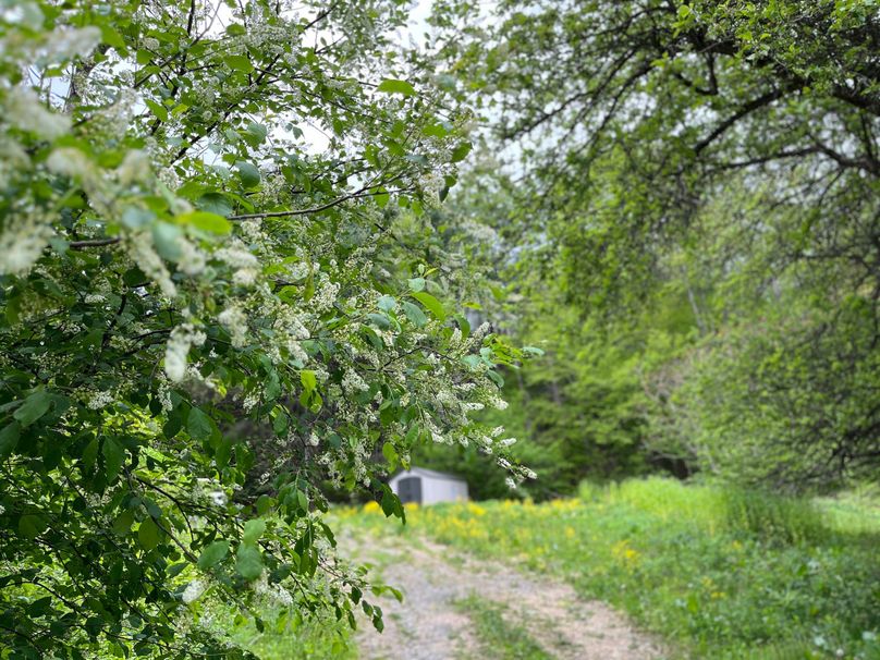 Tioga_18.72_Coulson Photo 47