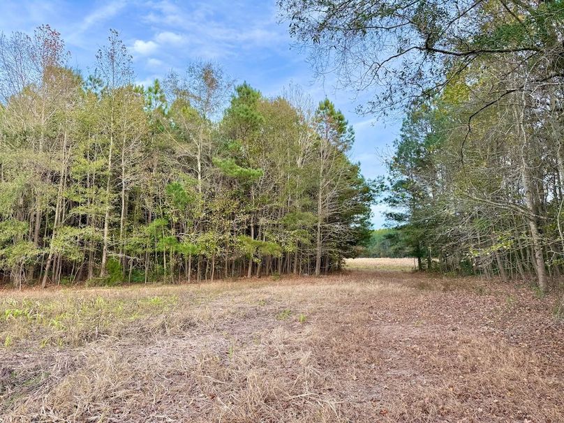 A52A8D5F-25F8-44A7-A8CD-2C00FE2A29F2