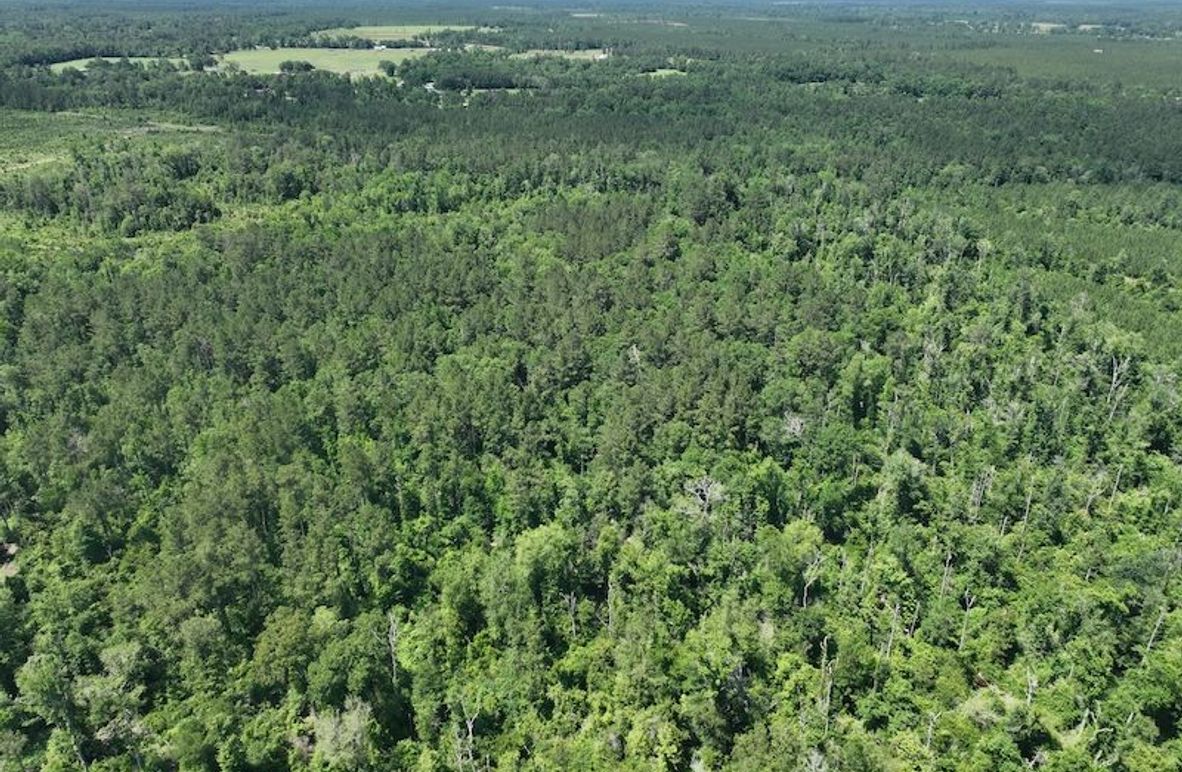 dji_fly_20250522_163252_251_1747959808732_photo