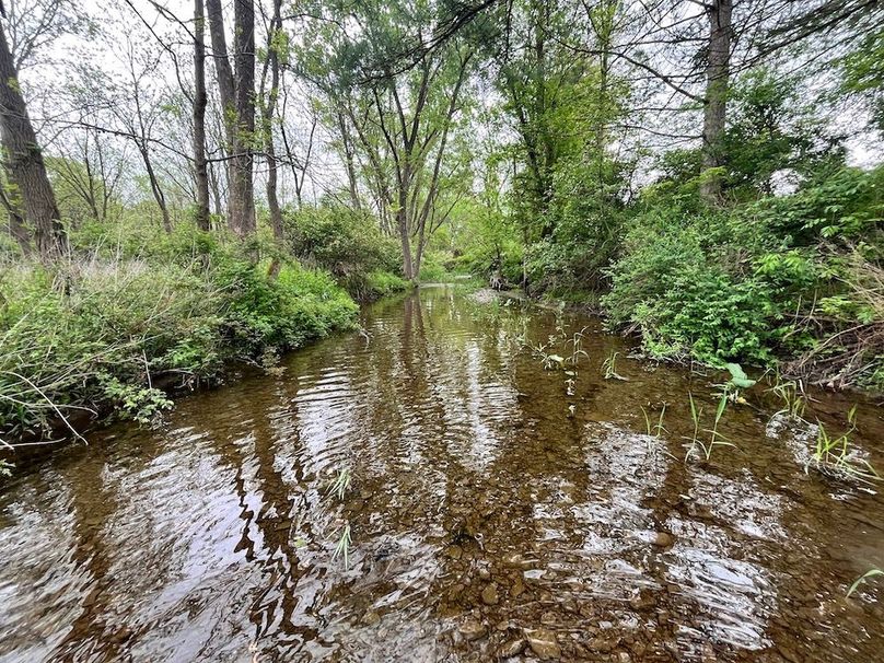 Chemung_3.5_Rouseland Photo 1