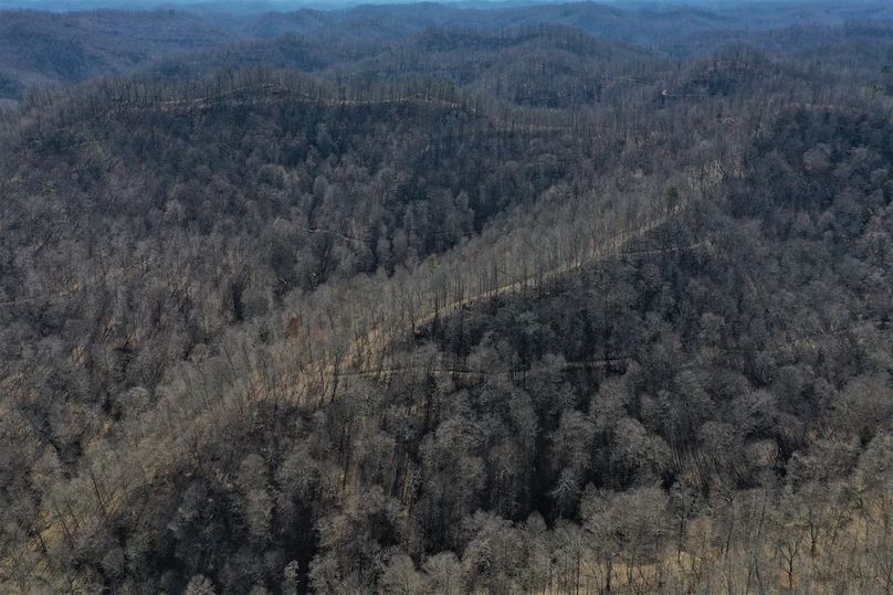 004 awesome bladed point coming off the main ridge