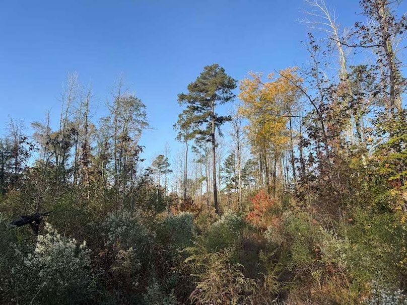 Jeff 11720251111_0197