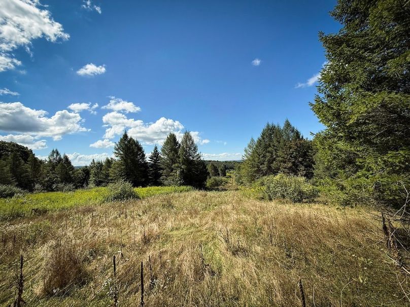 Tioga NY 232.62 Shores Photos 12