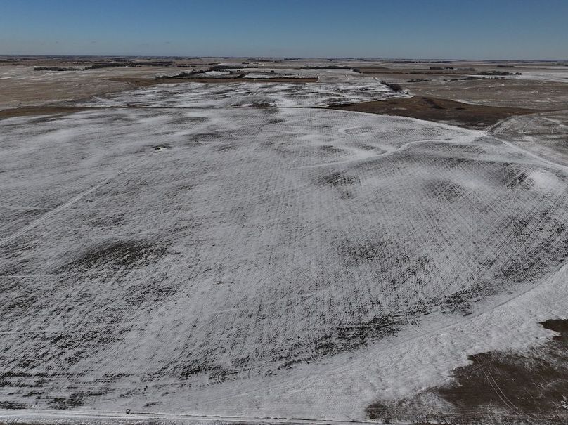 Copy of dji_fly_20250110_141936_0180_1736540748000_photo